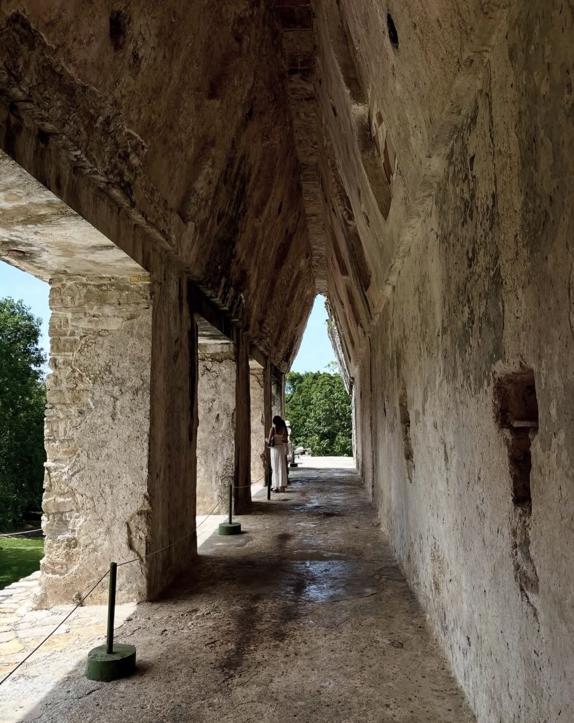 Tulum Ruins, Turtles in Akumal and Cenote tour